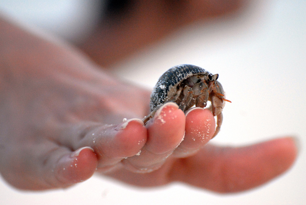 Crawling in Maldives