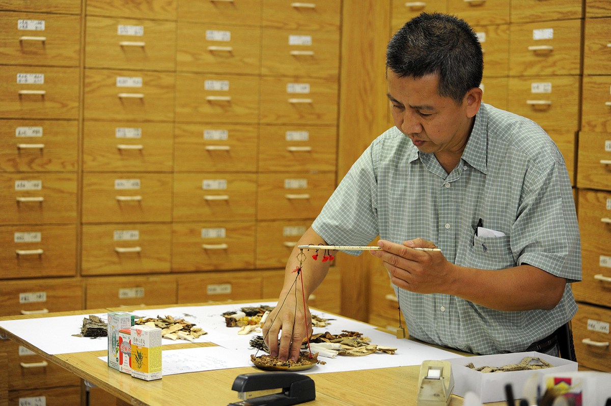 Sightseeing in Montreal